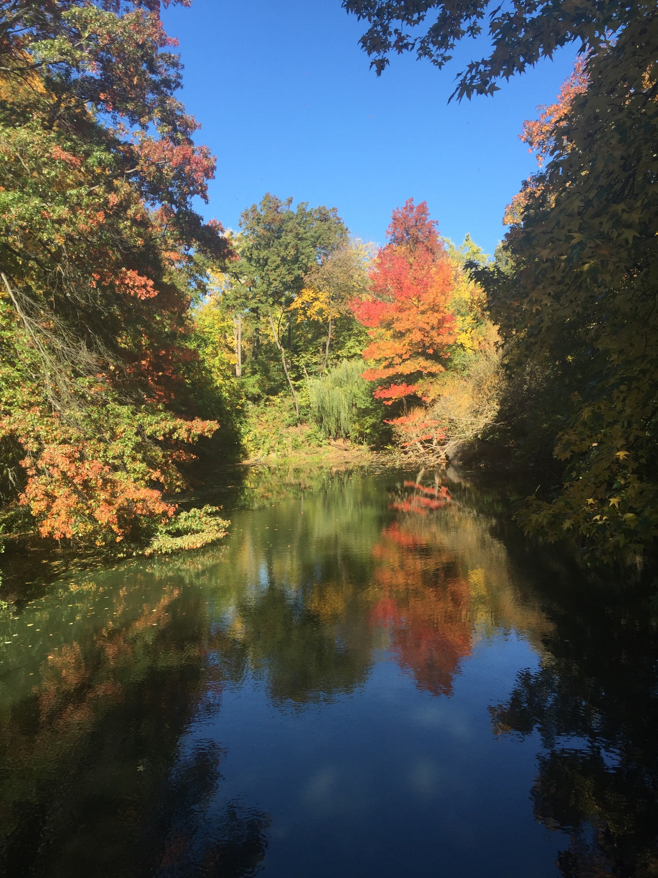 New England Fall Foliage