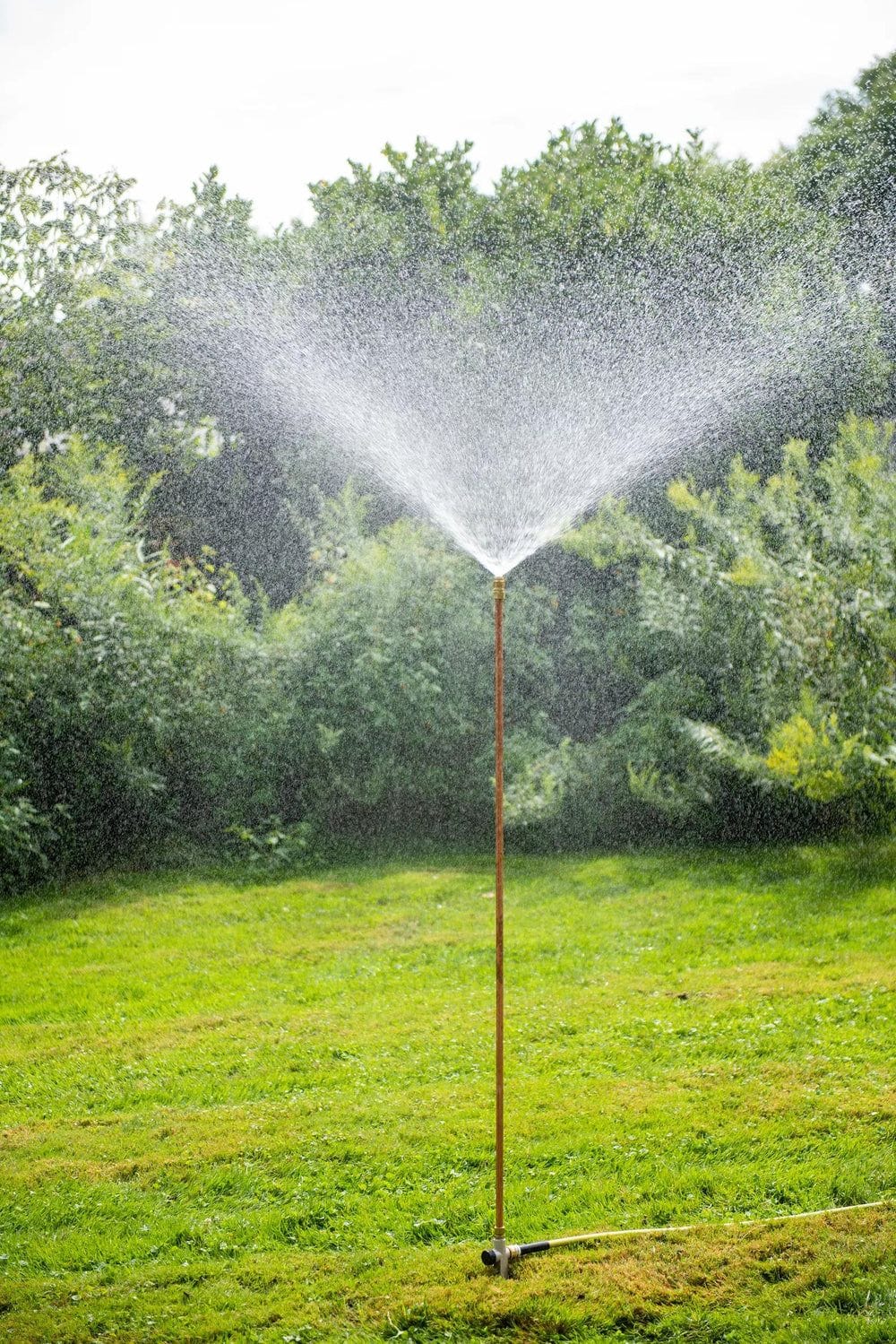 this sprinkler