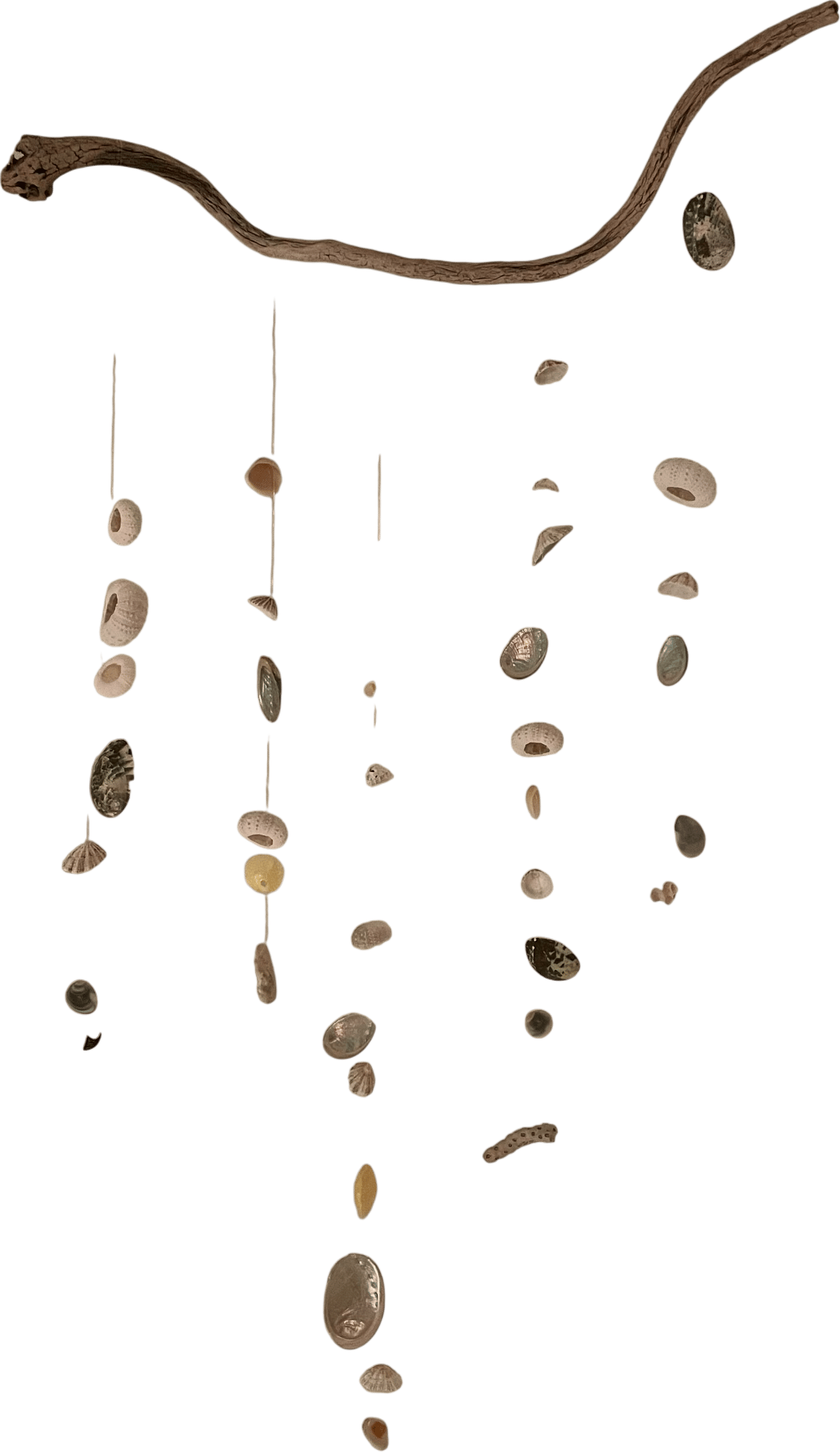Making a seashell mobile