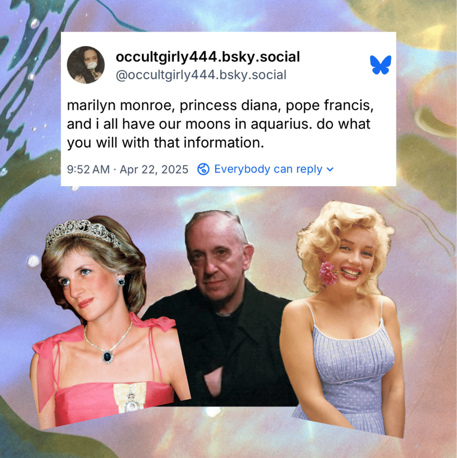 𝖆𝖖𝖚𝖆𝖗𝖎𝖚𝖘 𝖒𝖔𝖔𝖓