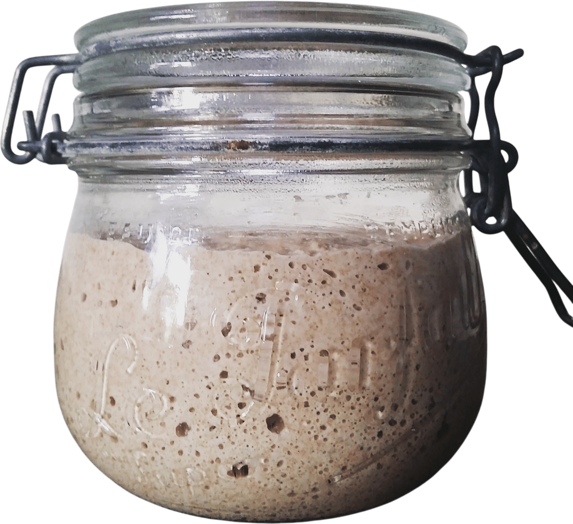 Sourdough Starter