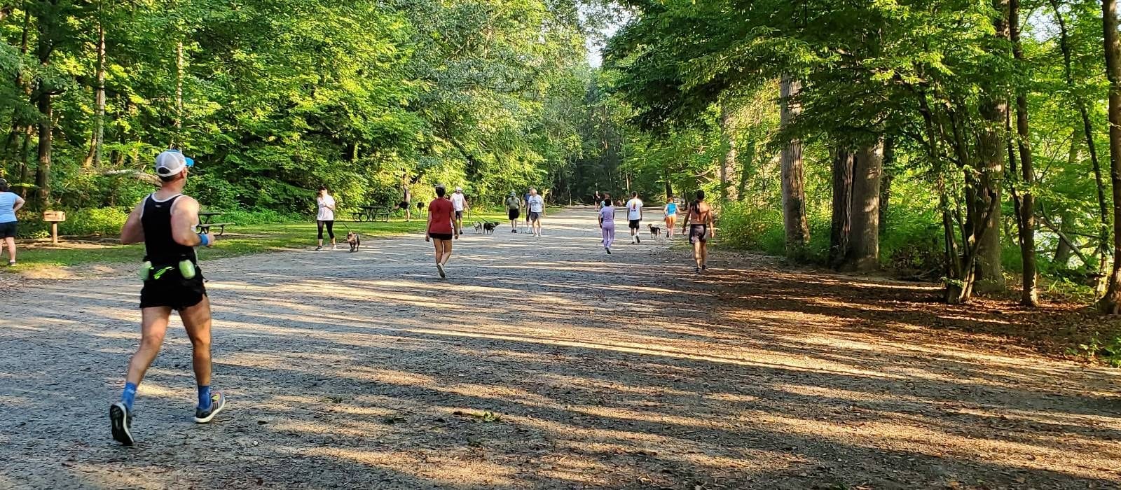 Cochran shoals trail