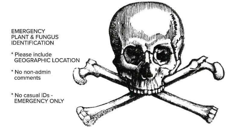 Emergency Identification For Mushrooms & Plants