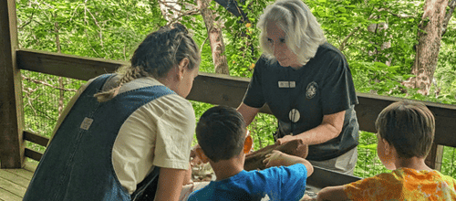 The WNC nature center and/or the arboretum
