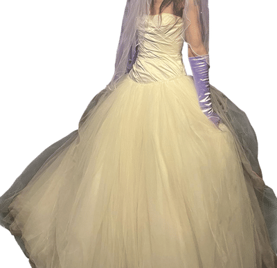 Vintage Vera Wang Wedding Dress