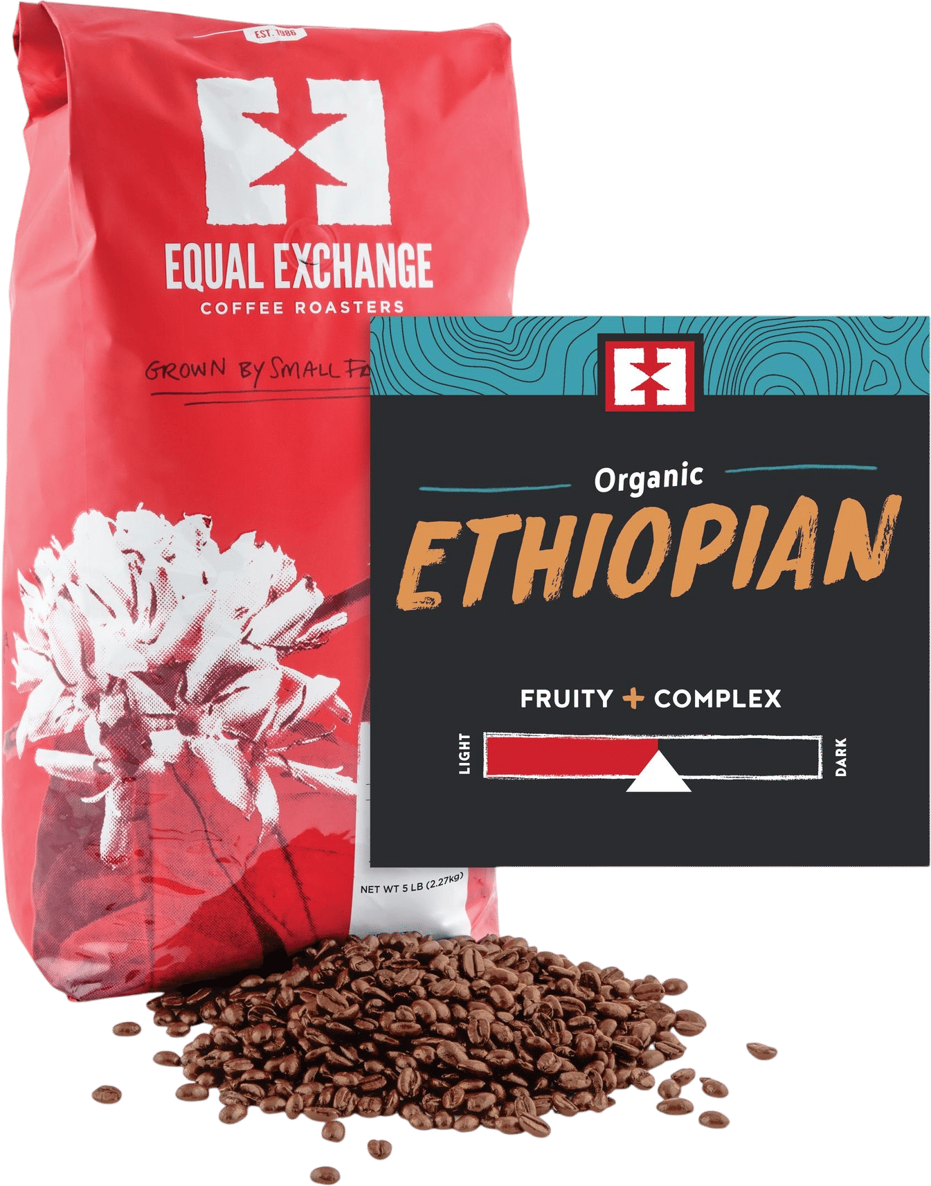 Equal Exchange Organic Ethiopian Coffee