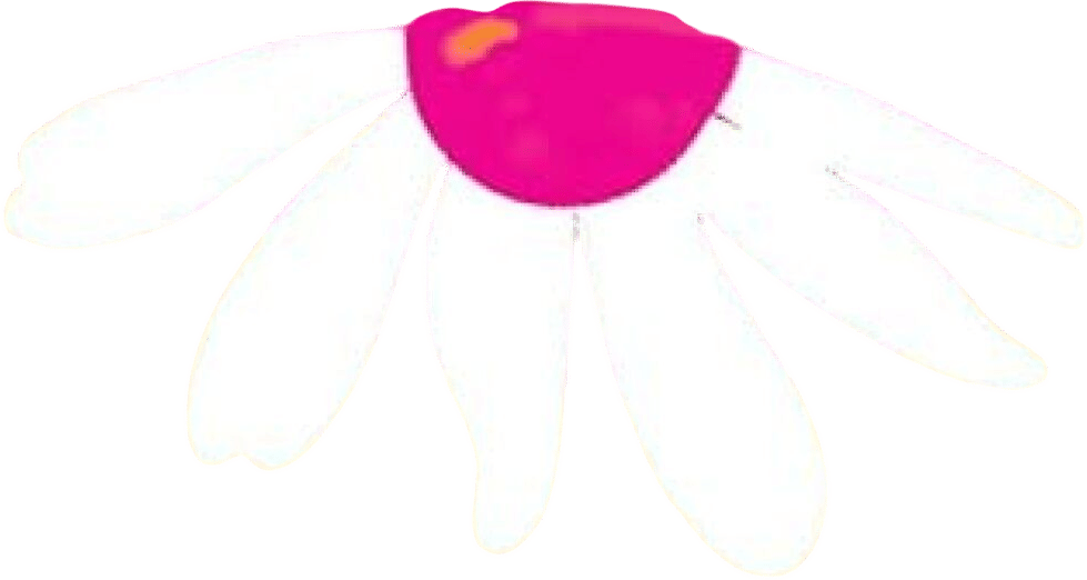 heart the lover