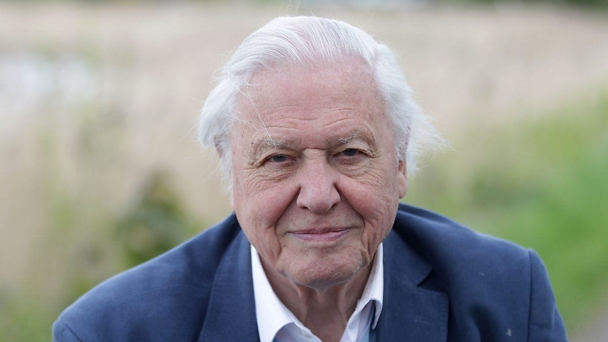 David Attenborough's Nature Documentaries
