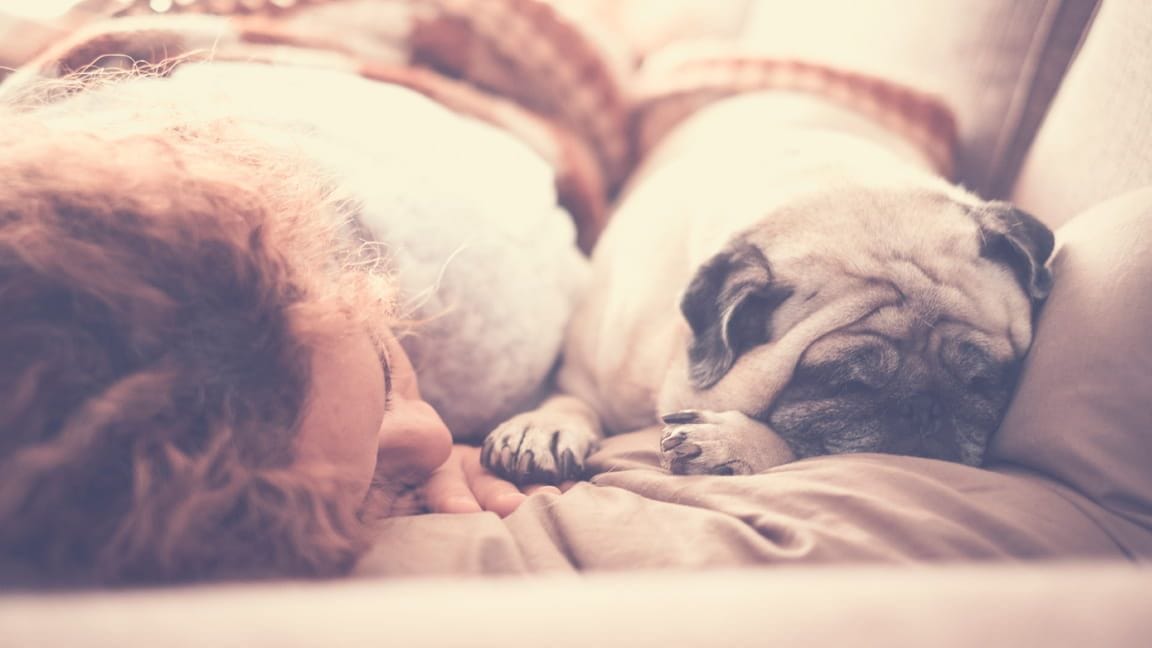 Napping