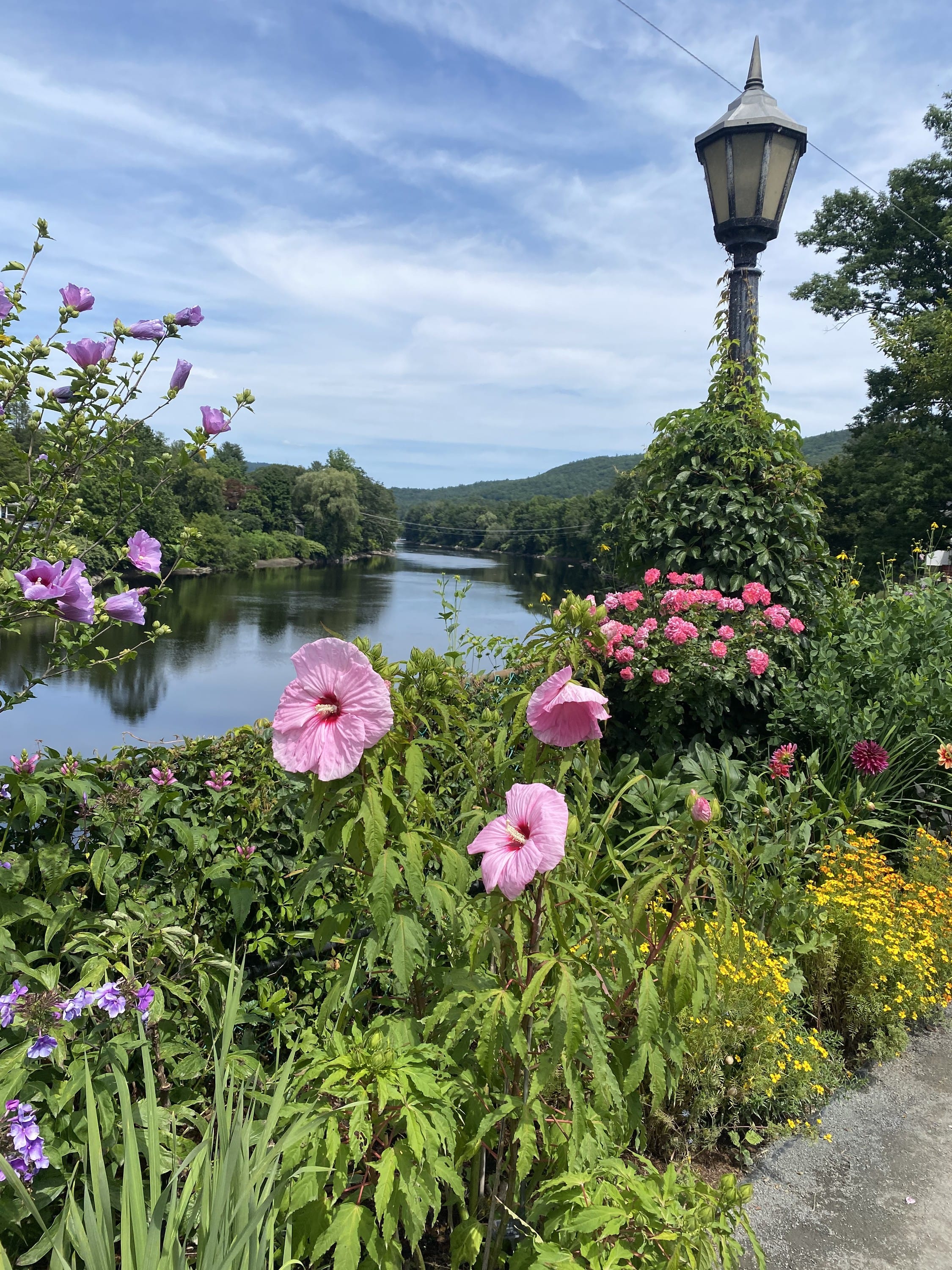 Bridge of Flowers | Shelburne, MA