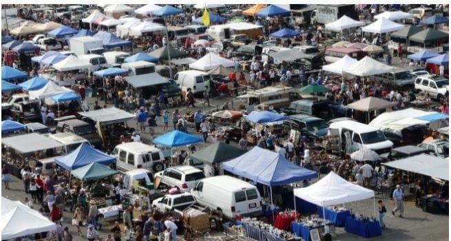 Long Beach flea