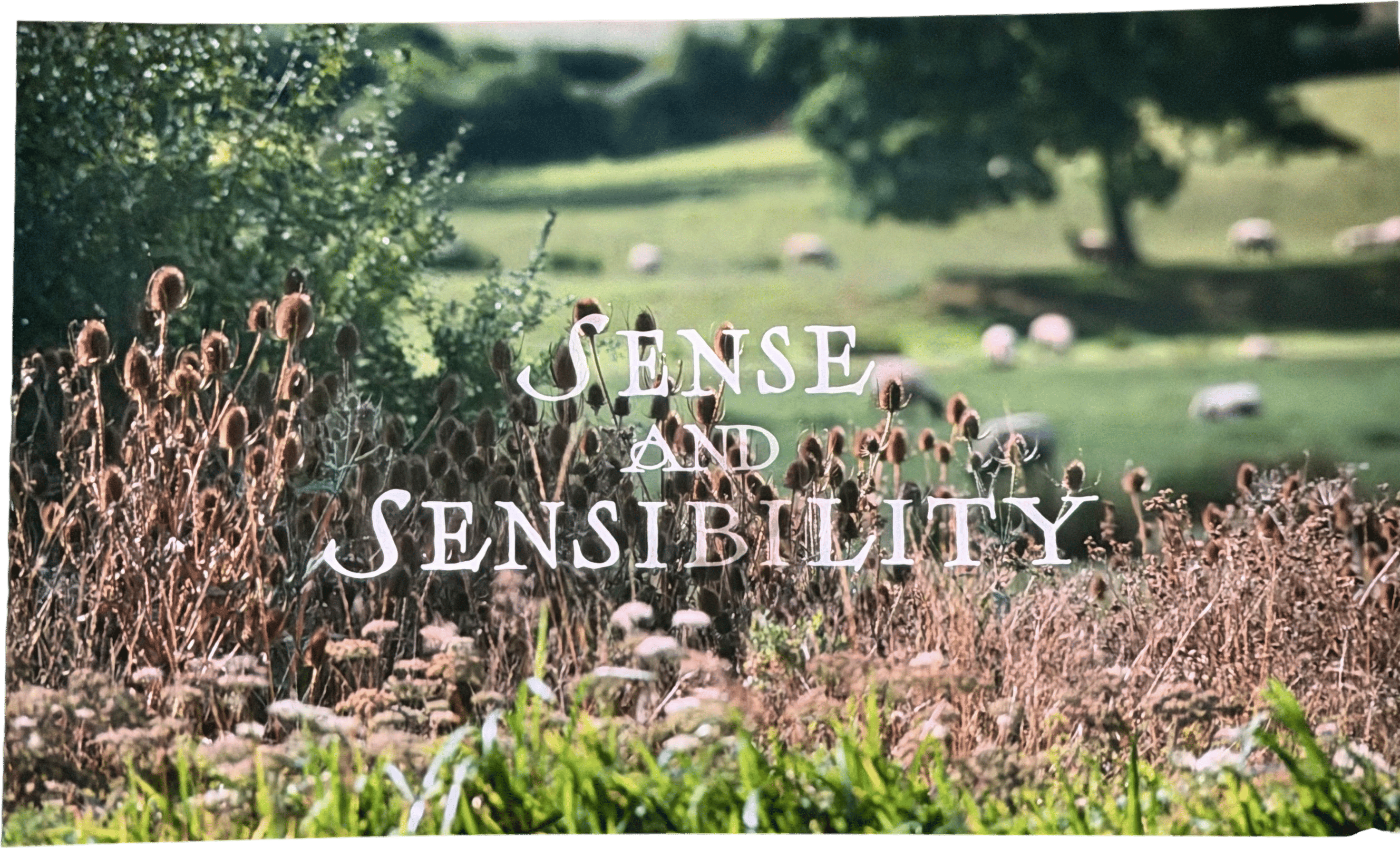 Sense and Sensibility