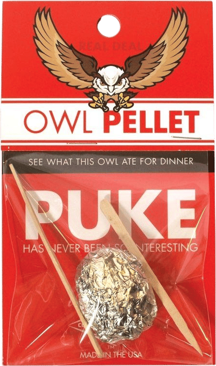 Owl Pellet