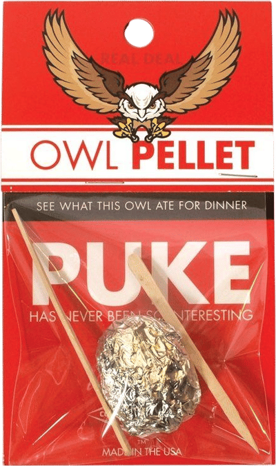 Barn Owl Pellet