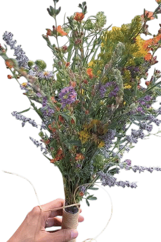 Wildflower bouquet for a wedding
