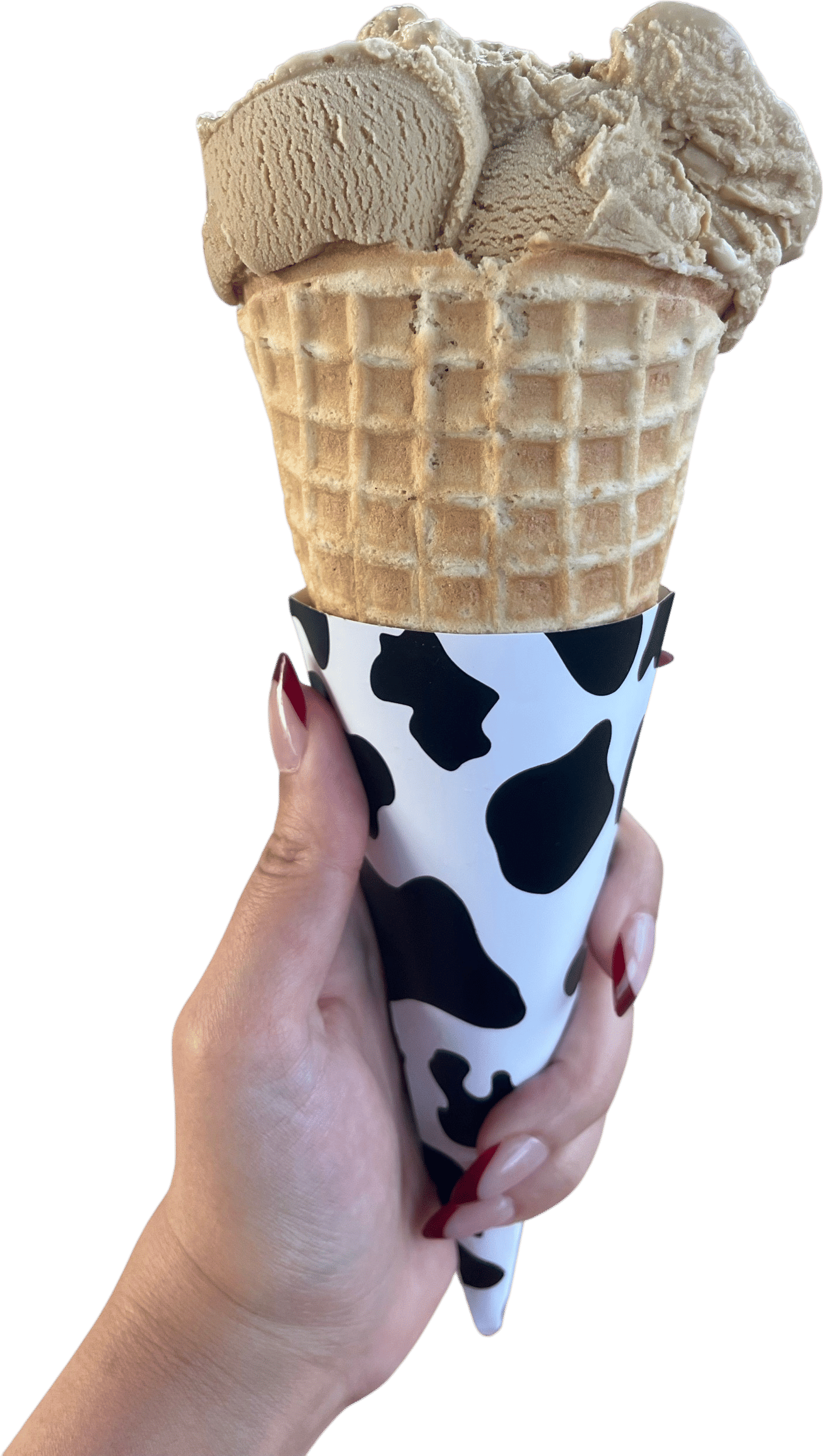 Moo Thru
