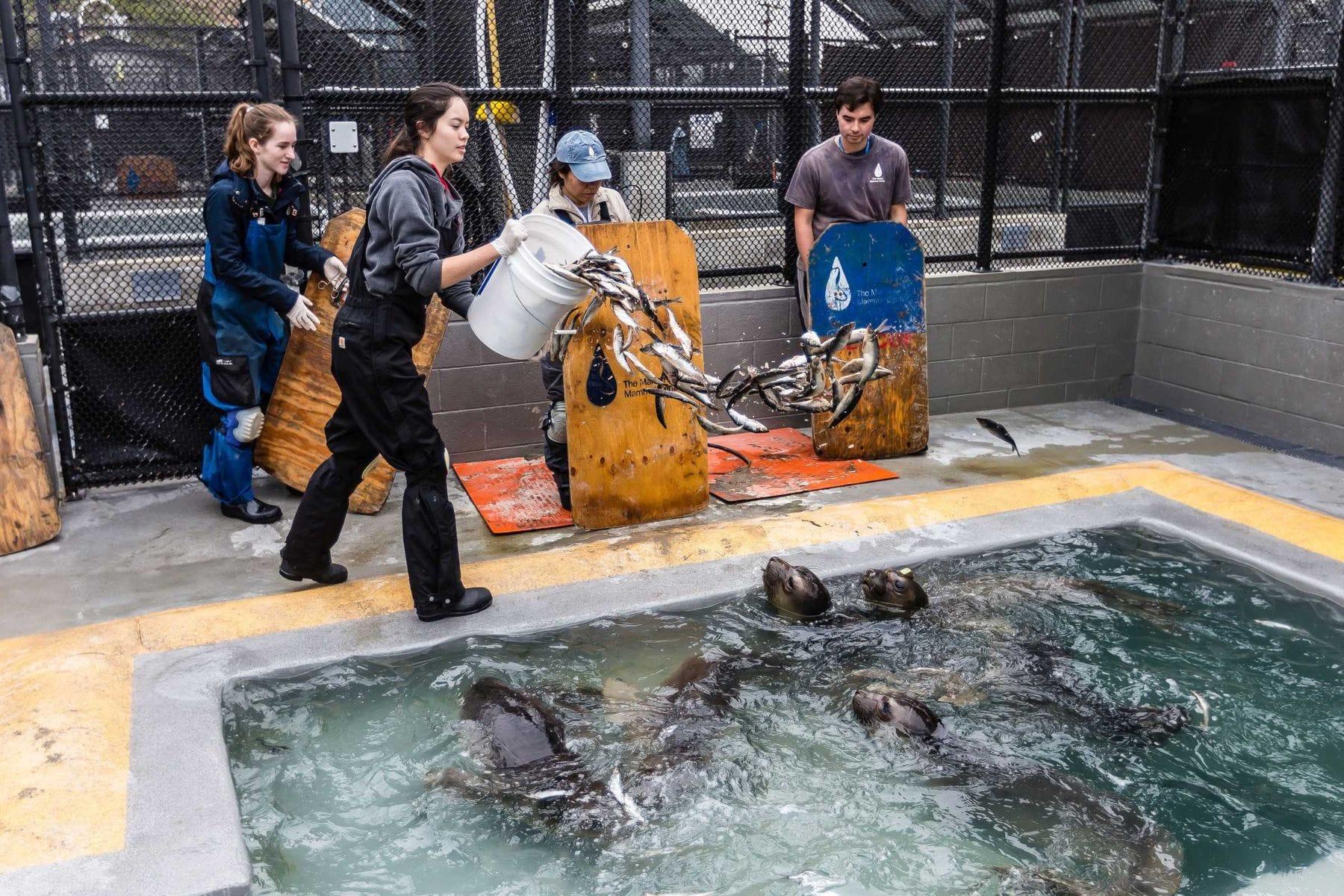 Marine Mammal Care Center