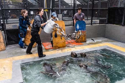 Marine Mammal Care Center