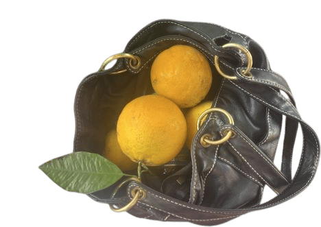 Collecting Citrus in Purse