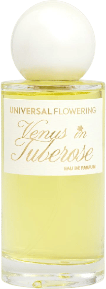 Venus in Tuberose (Universal Flowering inc)
