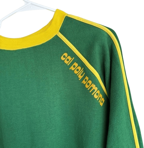 1970s Cal Poly Pomona True Vintage Green Yellow Stripe Long Sleeve Shirt Size XL