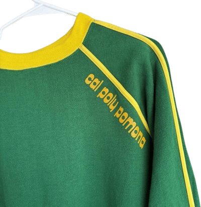 Vintage 1970s Cal Poly Pomona Striped Long Sleeve Shirt