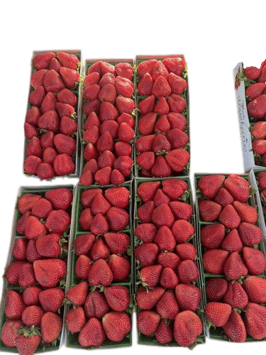 Santa Monica Farmers Market