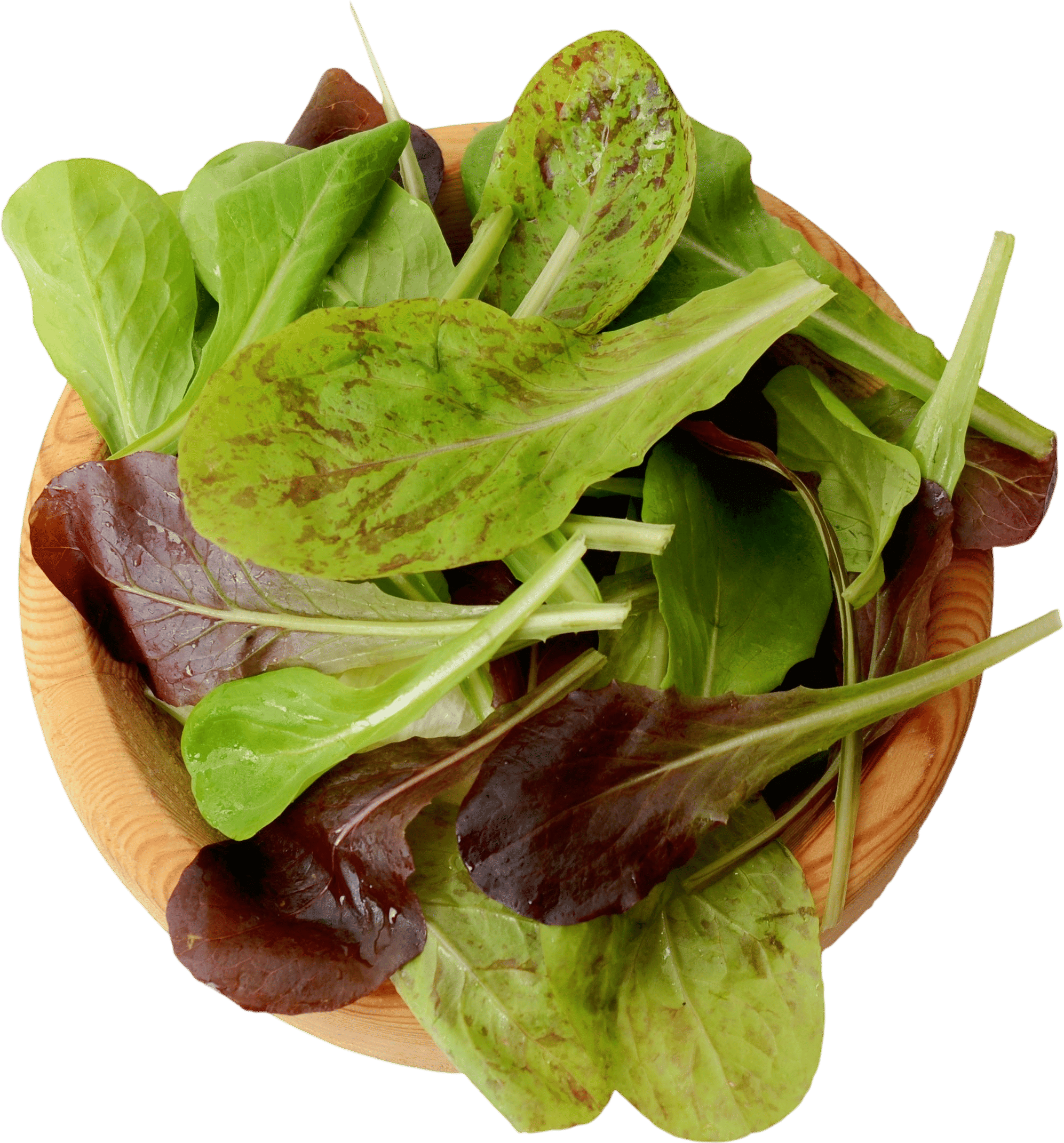 Territorial Seed Company Heat Tolerant Lettuce Mix Seeds