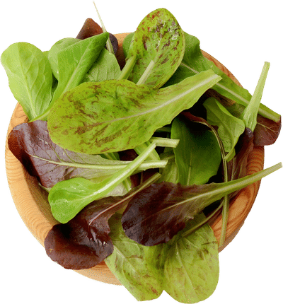 Heat Tolerant Lettuce Mix Seeds