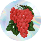 Rec League California Winemaker Party