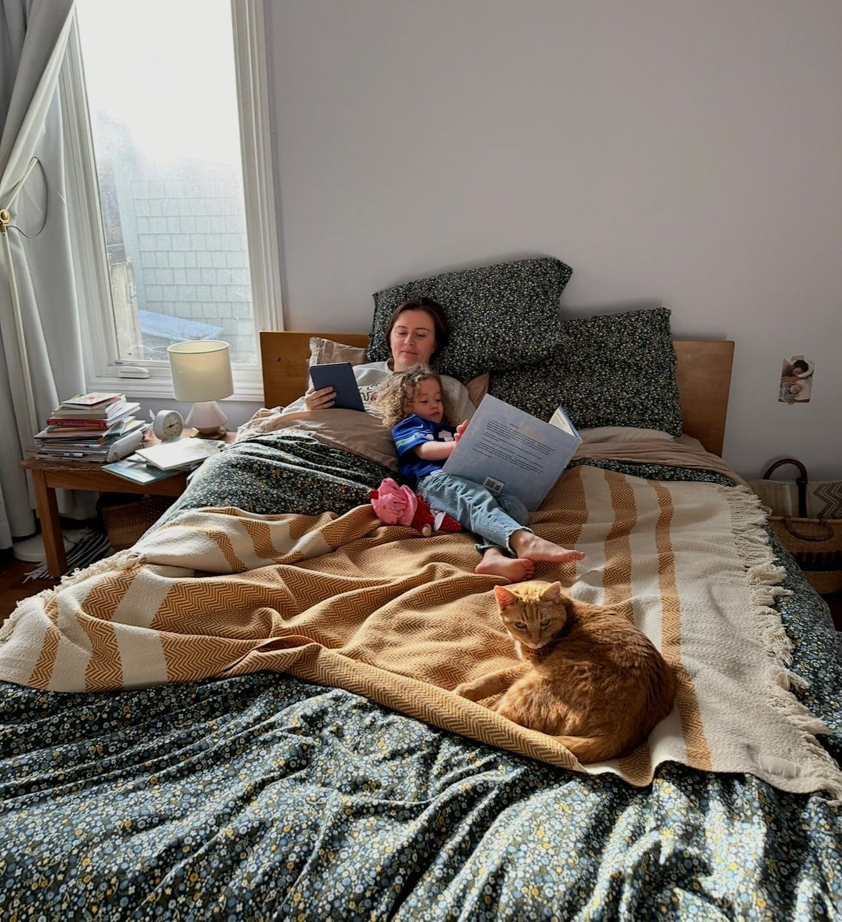 Reading in bed, under the covers, the sun shining in, your best gal and fur friend with you