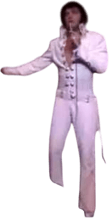 Suspicious Minds (Live in Las Vegas)