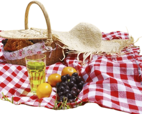Having a picnic