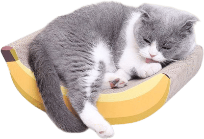 Banana Shaped Cat Scratching Pad