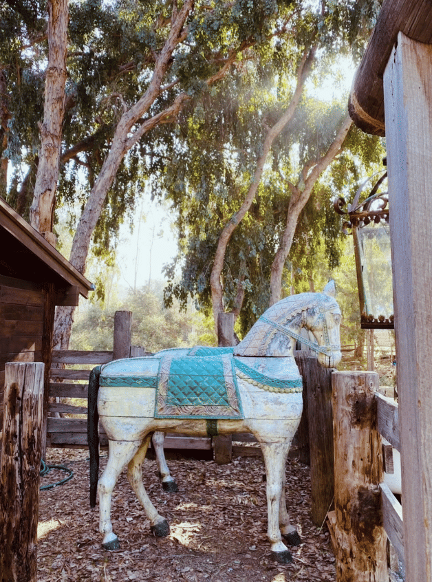 Secret Banya in Topanaga at Elsewhere 