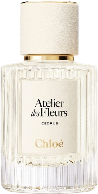Chloé Atelier des Fleurs Cedrus