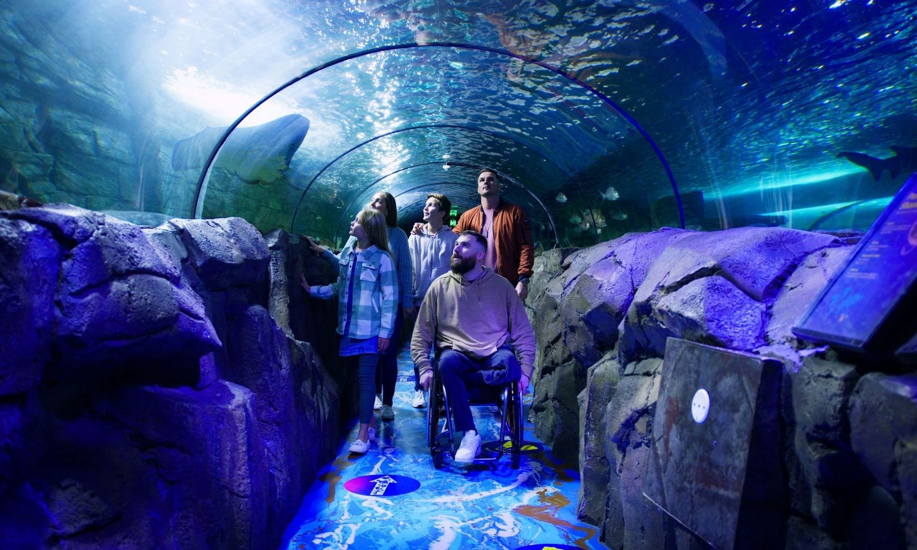 SEA LIFE Sydney Aquarium - Annual Pass