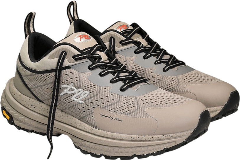 P22 Sneaks