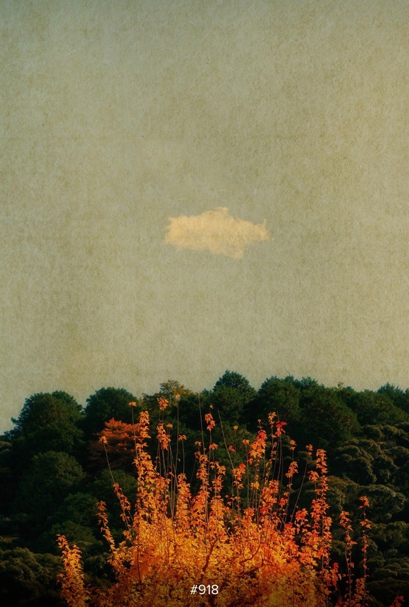 Quiet sounds for changing seasons