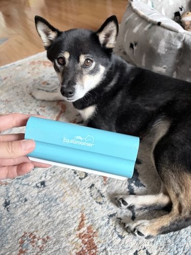 EquiGroomer for doggies