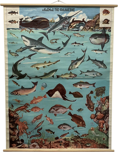 Greek Sea Life Vintage Chart