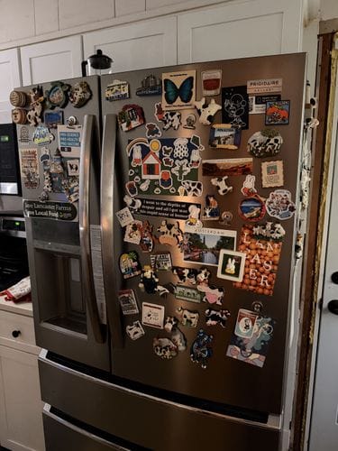 having an obnoxious amount of fridge magnets
