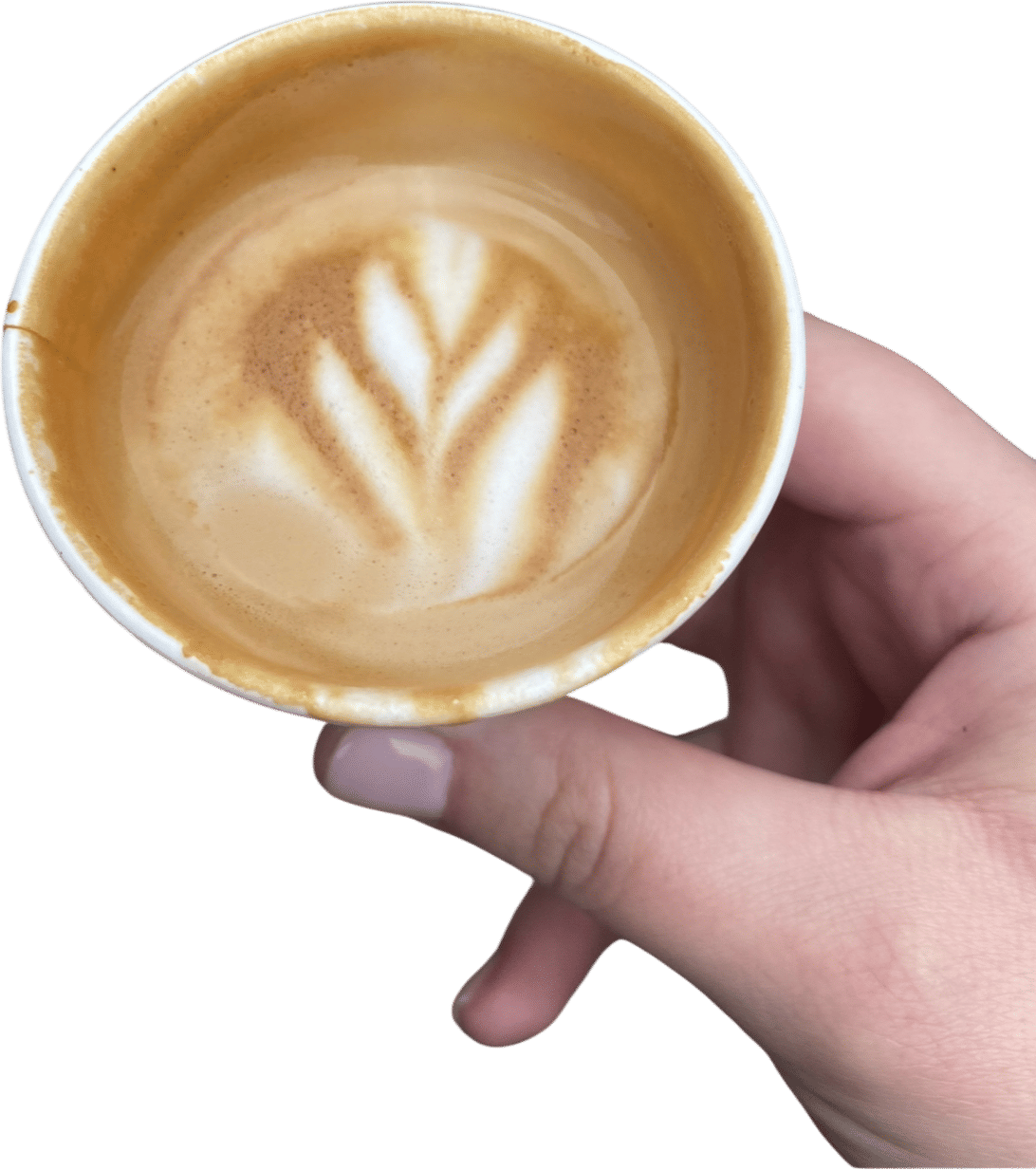 a good aaa cortado