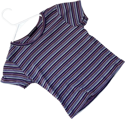 Brandy Melville Striped Crop Top Purple