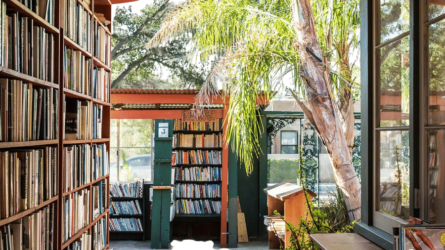 A Bookstore, But Make it Outside