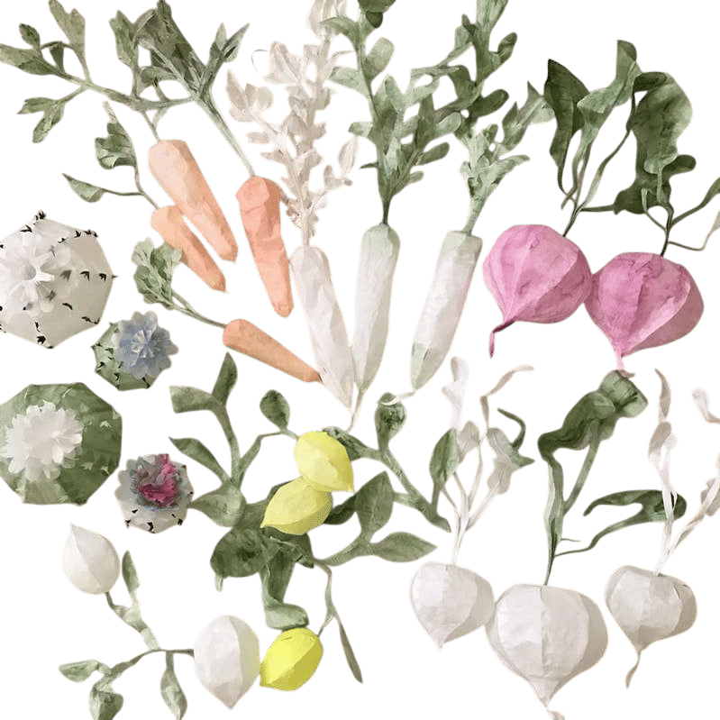 Momoca’s paper plants and flowers