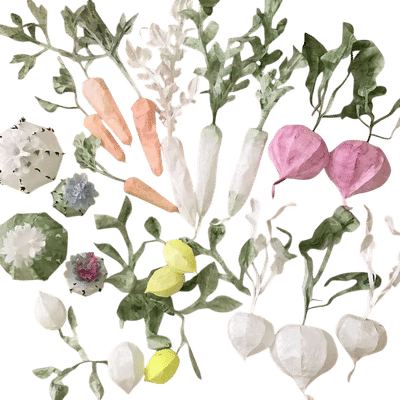 Momoca Paper Plants and Flowers