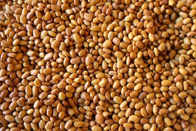 Buckeye Beans