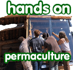 Propagating a Mulberry Tree