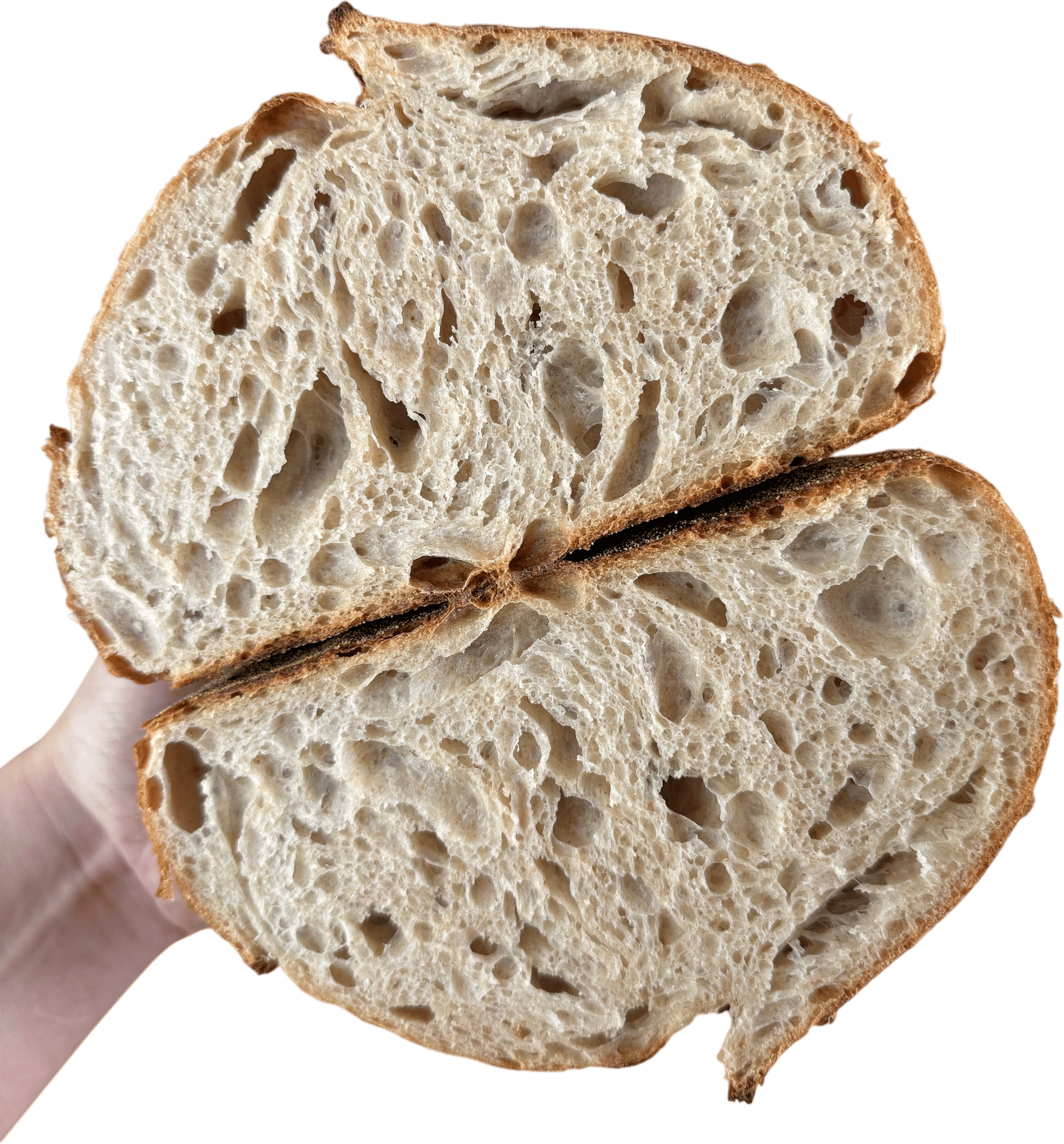 Learn How to Bake Bread